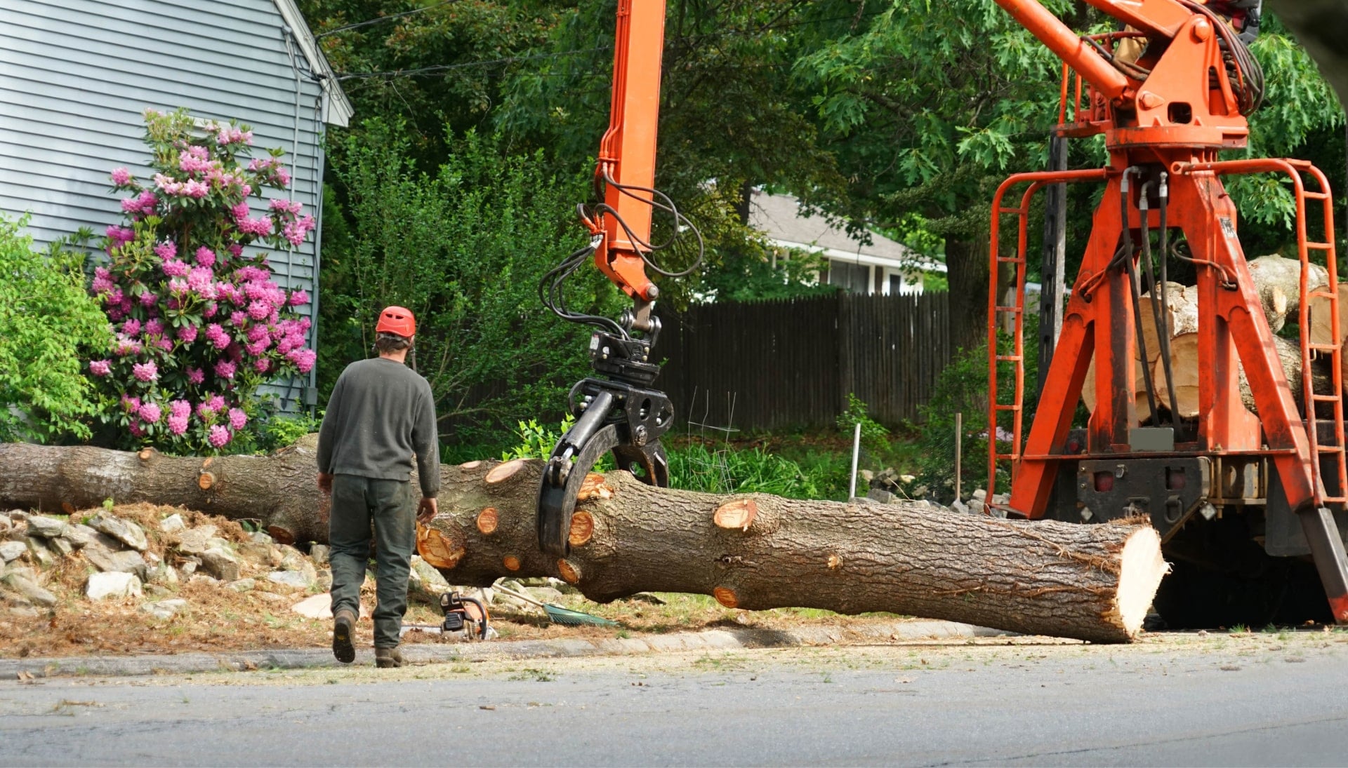 A tree stump has fallen and needs tree removal services in Fullerton, CA.
